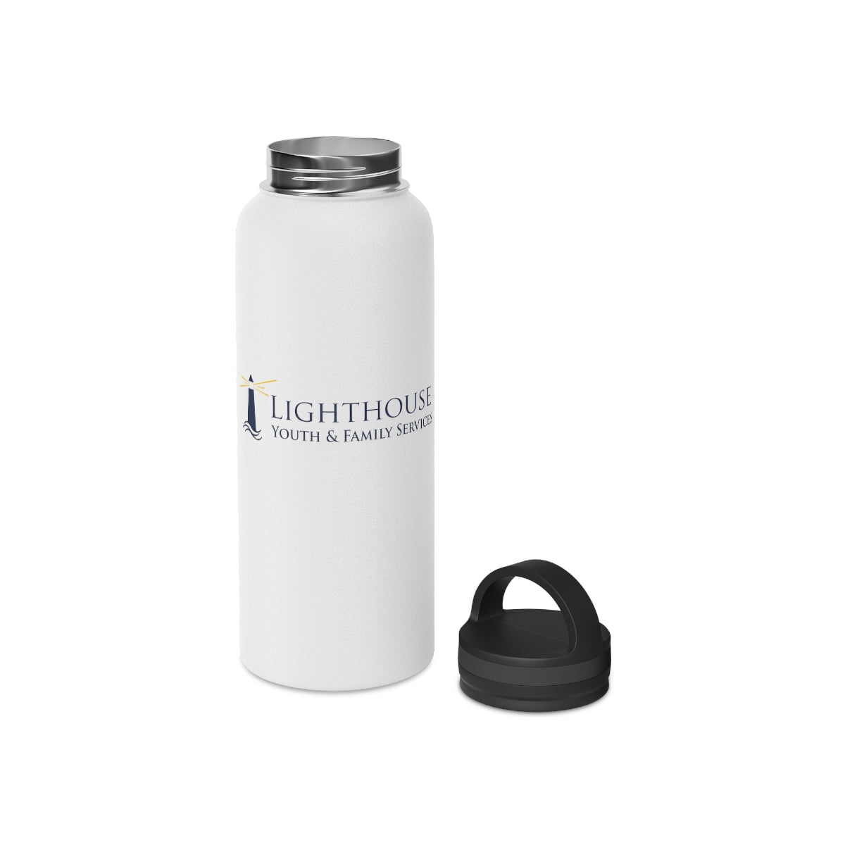 Stainless Steel Water Bottle, Handle Lid